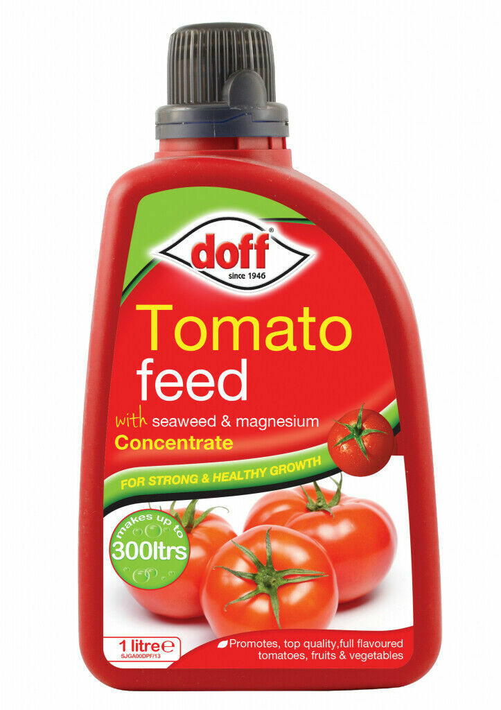 Doff Tomato Feed With Seaweed & Magnesium Concentrate For Strong Growth,1Litre