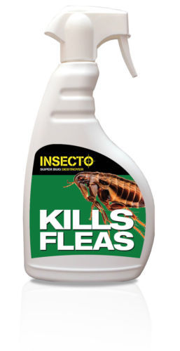 Insecto Super Bug Destroyer  Kills Fleas- 500ml