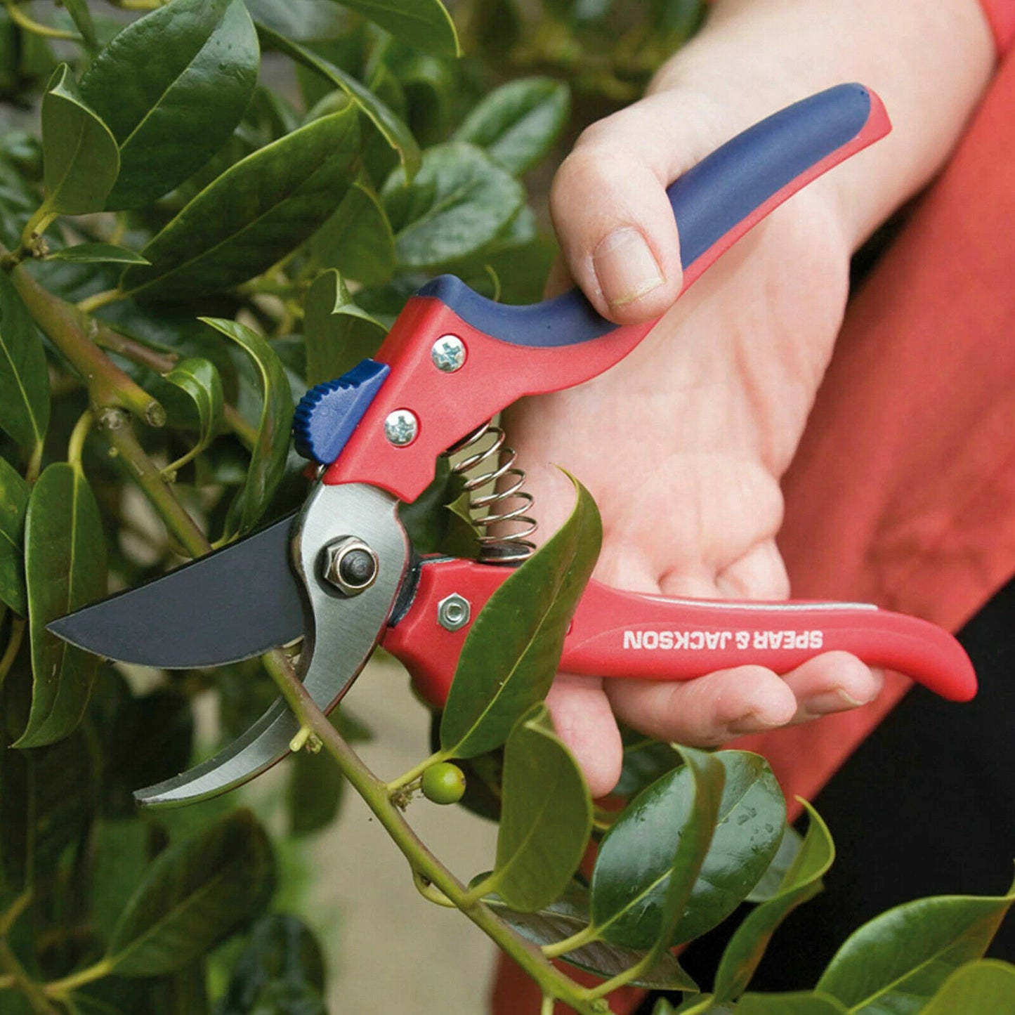 Spear & Jackson  Razorsharp Advantage Bypass Secateurs (7159BS)