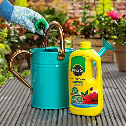 Miracle-Gro All Purpose Concentrated Liquid, Plant Flower & Vegetable Food - 1L