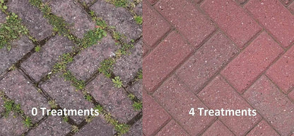 Block Blitz The Original Block Paving 380g Clean Protect Deter Algae Moss Weeds